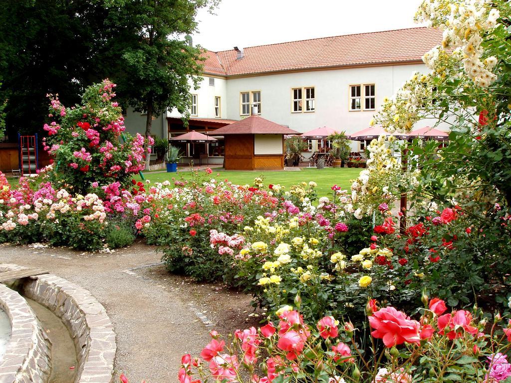 Hotel Weidenmuhle Mühlhausen Extérieur photo